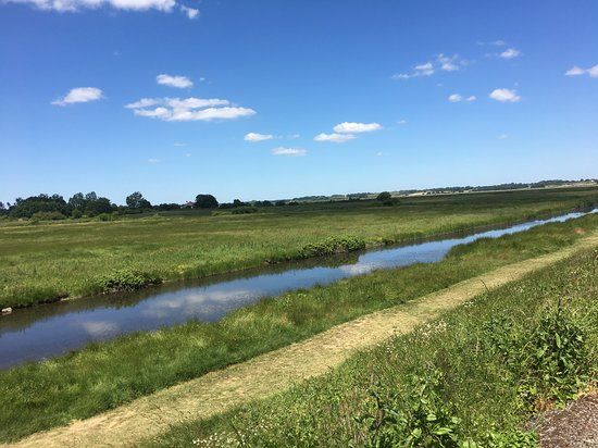 Cudmore Grove Country Park